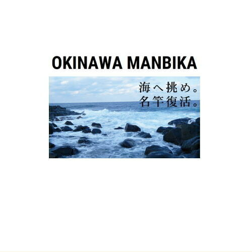 テイルウォーク 沖縄マンビカ 100SSXH tailwalk テイルウォーク OKINAWA MANBIKA(オキナワマンビカ