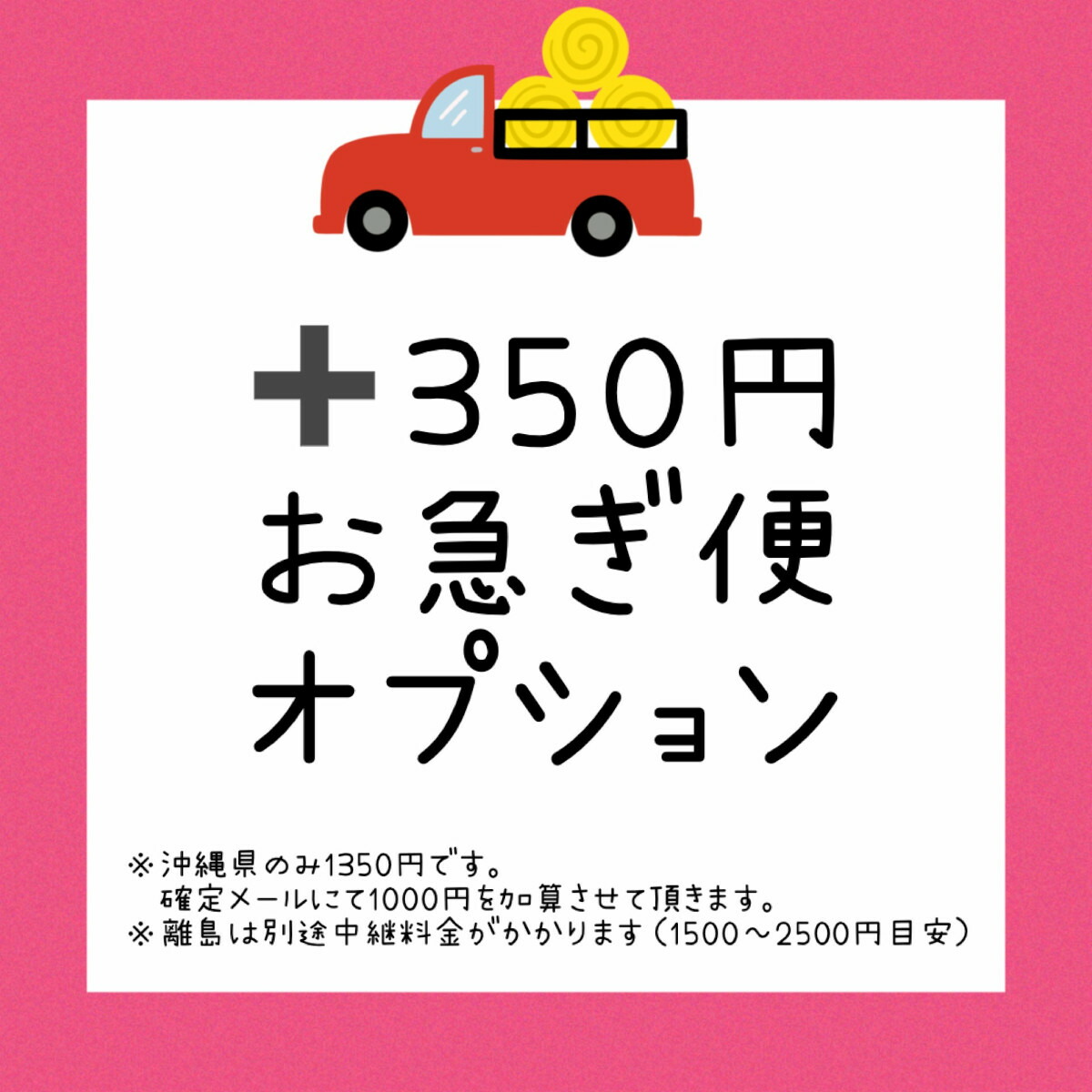 【日本限定モデル】 楽天市場】お急ぎ便に変更オプション : Mahoe Anela Shop 楽天市場店 ネイルチップ・付け爪