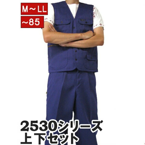 寅壱 上下セット ベスト x ニッカズボン 2530s611406 ムラサキ 11 作業服 作業着 ニッカポッカ 作業ズボン 鳶服