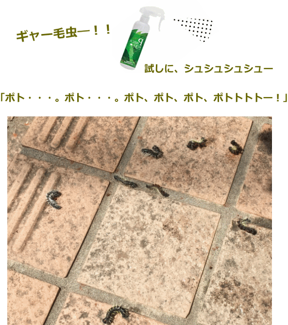 お得な3本組 防除用医薬部外品 250ml 天然水性害虫駆除剤 虫対策 無添加 殺虫剤 虫除け ピレカロール 防虫スプレー アウトドア 防虫剤 虫よけ オーガニック