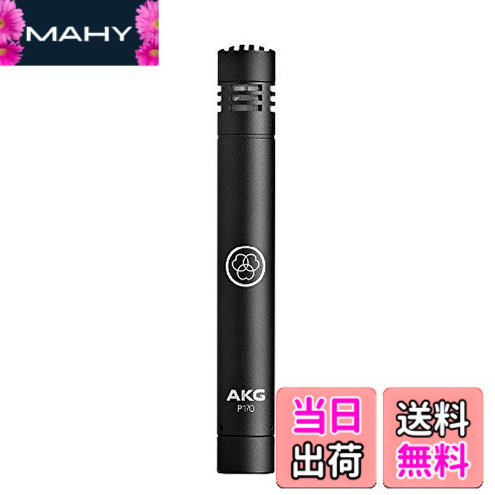 【送料無料】AKG Project Studio Line コンデンサーマイク ブラックボディ P170 【国内正規品】