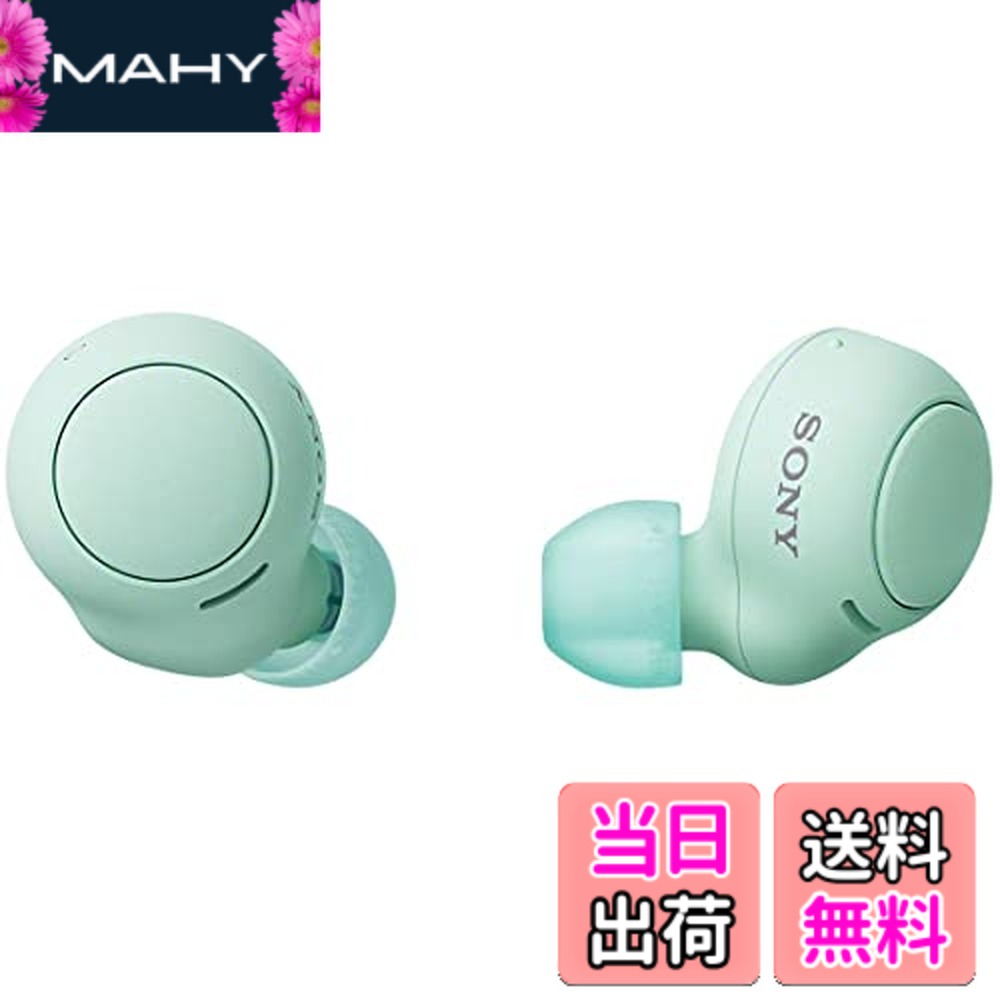 【送料無料】ソニー(SONY) 完全ワイヤレスイヤホン WF-C500/WF-C510 :/高精度通話品質/IPX4防滴性能