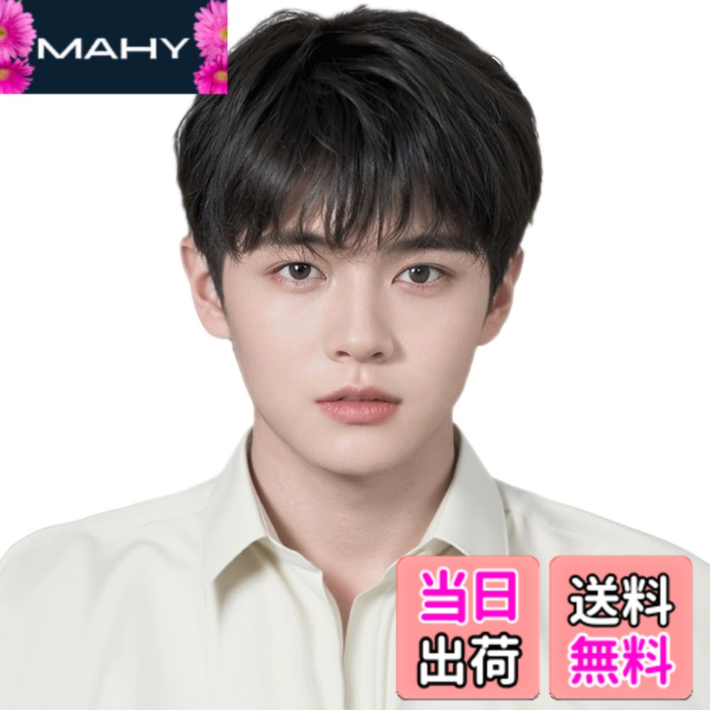 【送料無料】ウイッグ メンズ 人毛100 手植え かつら 男性用 カジュアル サイズ選択可能 M/L 通気 ビジネス 減齢 優しい男 スタイル バレない 黒髪 就活 wig 色：ブラック、サイズ：スタイル02L