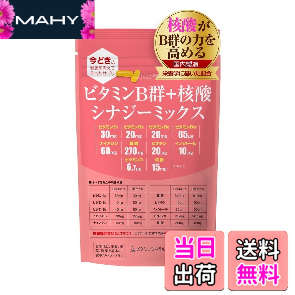 【送料無料】ビタミンB群+核酸 シナジーミックス サイズ:1袋