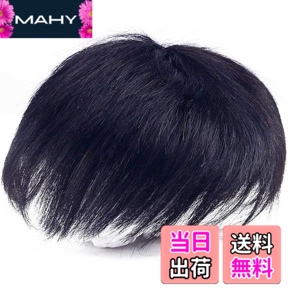 【送料無料】YOYO 部分ウィッグ メンズ 人毛100% ポイントウィッグ 男性用 部分カツラ 医療用 白髪隠し 薄毛 ヘアピース つむじカバー 増毛 軽量 快適 小顔 ナチュラル 脱毛症隠す 頭頂部 付け毛 ウィッグネット 色：自然タイプ、サイズ：14x19cm
