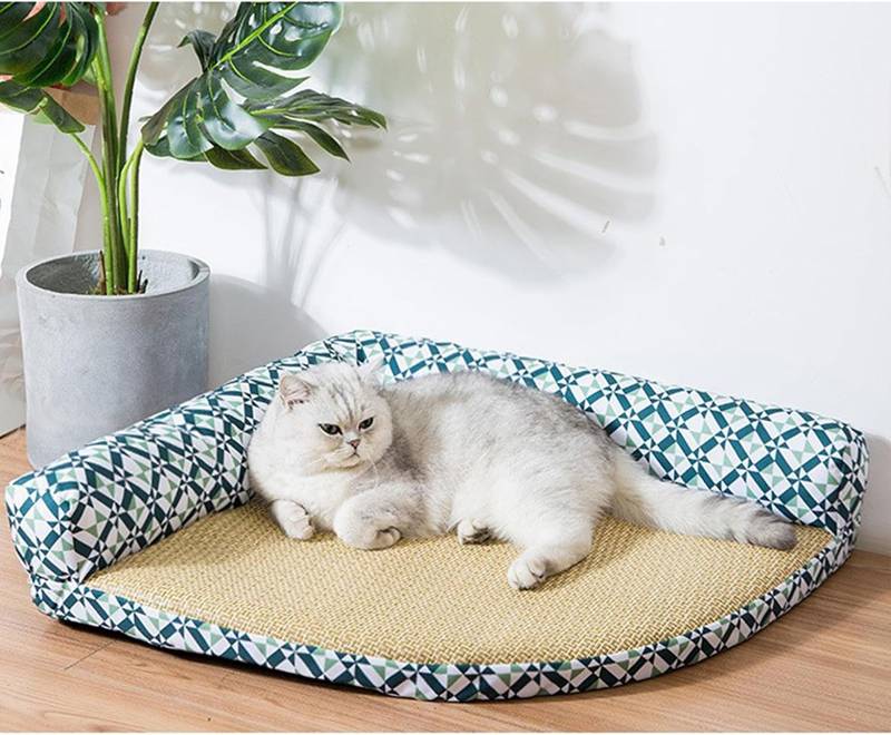 犬 ベッド ござ やんわり 猫 ベッド 夏用 ペット ベッド クール 枕付き 涼しい ペットベッド 滑りにくい裏生地 中型 小型犬用 藤シート 冷感 暑さ対策 両用 お手入れ簡単 耐久性 快適 猫の寝