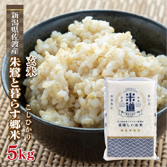 玄米 5kg コシヒカリ 令和4年産 5キロ 新米 米 埼玉県産 送料無料