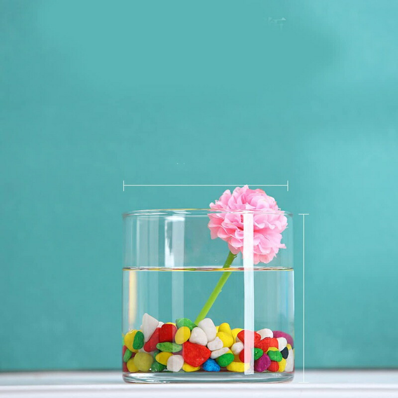 花瓶 ガラス 一輪挿し おしゃれ フラワーベース 大きい エレガント 広口 北欧雑貨 円柱 vase インスタ映え 使いやすい 透明 寝室 直径10cm カフェ 窓辺 食卓 ダイニング リゾート 20