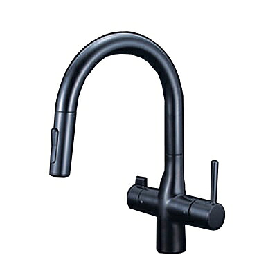 KVK　KM6081SCVECM5　浄水器付グースネックシングルレバー式シャワー付混合栓 ｅレバー マットブラック