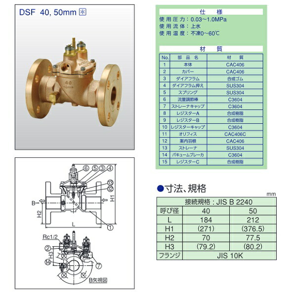 最高限43二倍お買物マラソン 兼加工 回り合せ水嵩言 子ども弁 並並用向 明け放し作風 フランジ繋ぎ合す 子弁セット Dsf 50 送り届けるゾーン 江戸剞けつ Brucetires Ca