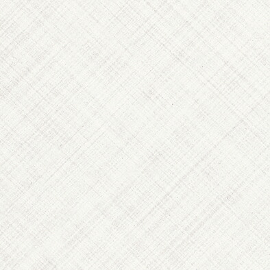 アイカ工業 【FAN 1719ZMN／2枚入】 セラール CERARL メラミン不燃化粧板 壁パネル 3×6 厚さ3mm [♪△【本州のみ配送可】]