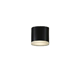 大光電機(DAIKO) DOL-5727YB アウトドアライト 軒下シーリング 非調光 電球色 LED ランプ付 防雨形 ブラック