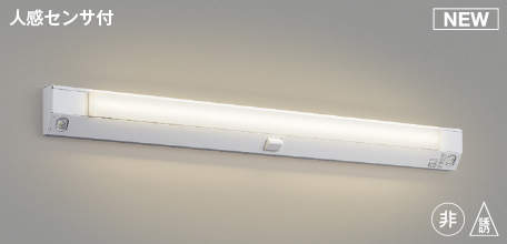 コイズミ照明　AE52196　LEDユニット形ベースライト ユニットのみ (本体別売) LED一体型 非調光 電球色