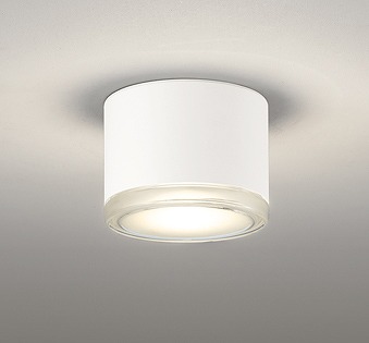 オーデリック　OR037037　非常灯 誘導灯 リモコン別売 直付型 LED一体型 電球色 電池内蔵形 防雨形 オフホワイト