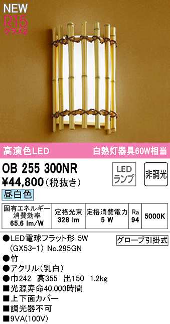 ob255300nr(小組)