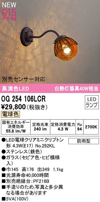 最大59%OFFクーポン オーデリック OG254030LCR エクステリア LEDポーチライト 白熱灯器具40W相当 R15高演色 クラス2  別売センサー対応 電球色 防雨型 照明器具 玄関 庭 屋外用