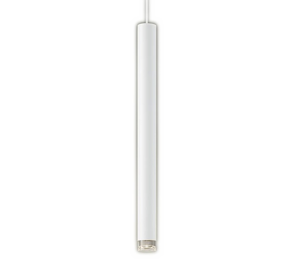 パナソニック XSZB10085CB1(ランプ別梱) ペンダント 調光(ライコン別売) LED(温白色) 天井吊下型 集光48度 直付タイプ LEDコンパクトランプ交換型 ホワイト