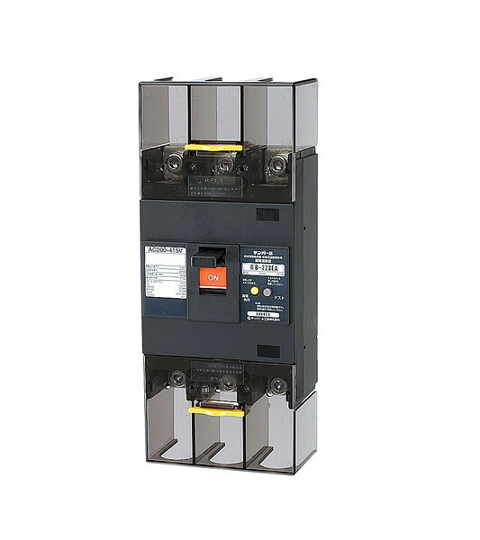 テンパール工業 漏電遮断器　223EA17W2　経済タイプ GB-223EA 175A 100/200/500mA [&pound;]｜まいどＤＩＹ