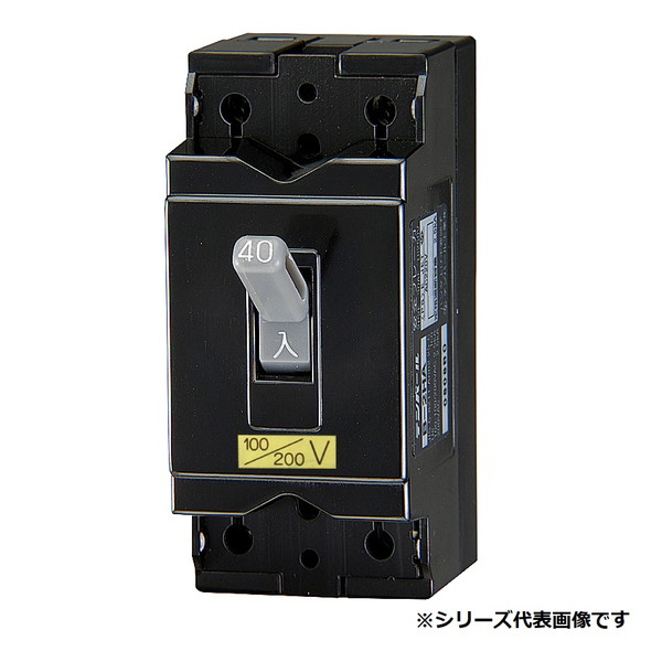 テンパール工業　B2HA50　配線用遮断器 安全ブレーカ 50AF 2P2E 100-100/200-200V 50A