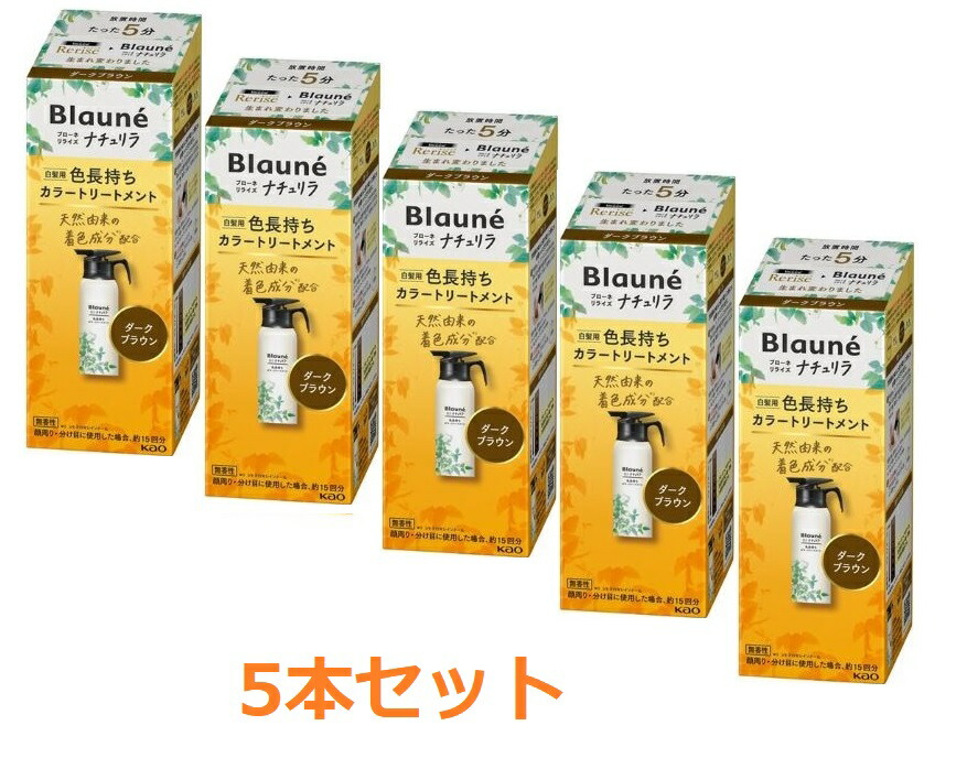 【花王】ブローネ ナチュリラ 色長持ちカラートリートメント ダークブラウン 本体（155g)×5本セット