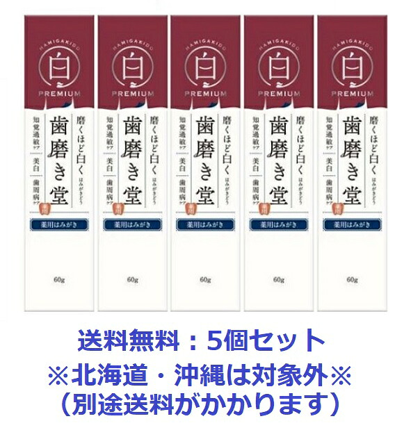 【エントリーでP10倍！6/11(木)1：59まで】歯みがき堂 薬用ホワイトニング ペースト剤割り増し金60g【治療法部外品】【5個書き割り】【貨物輸送無料：北海道は客体外】
