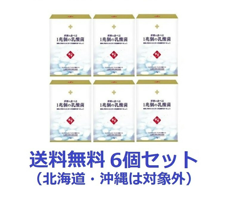 【エントリーでP10倍！6/11(木)1：59まで】【貨物輸送無料：沖縄・北海道を除く】【６個書き割り】華舞の食べる1兆個の乳酸菌(1.0g×30本入)【６個書き割り】
