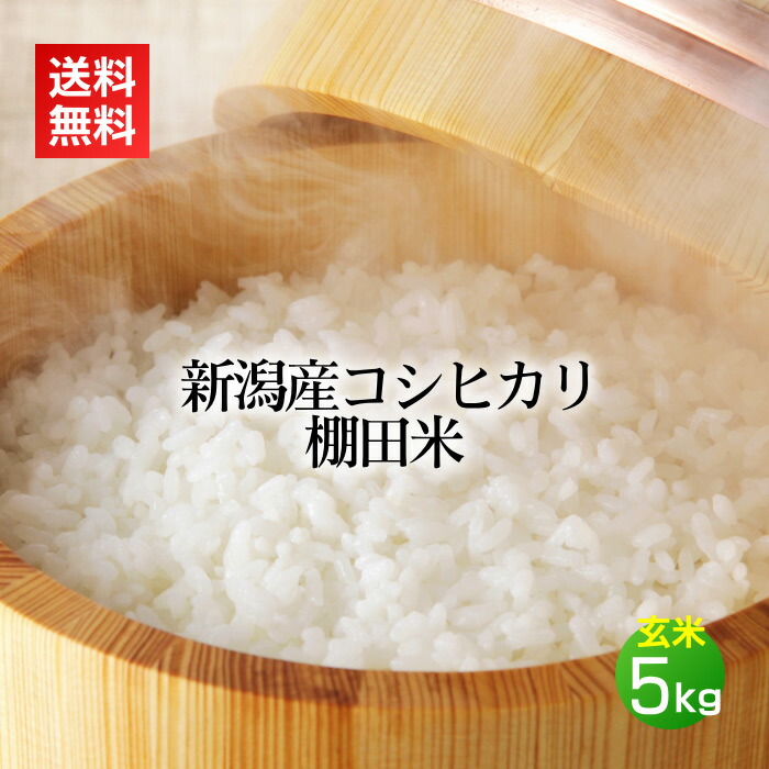 新潟コシヒカリ 棚田米 玄米 5kg／新米 令和7年産 米 お米 新潟米 新潟産 コシヒカリ こしひかり 5キロ 送料無料 即日発送