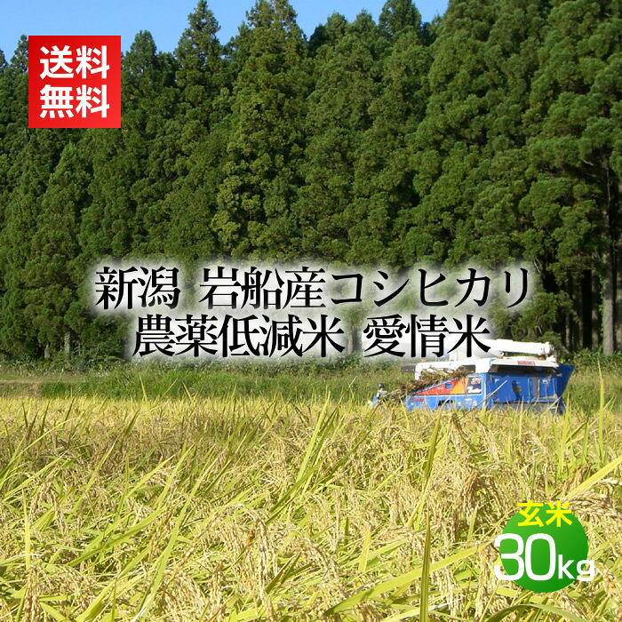 農薬低減米 岩船産コシヒカリ 愛情米 玄米 30kg(10kg&times;3袋)(米 お米 新潟 新潟米 コシヒカリ)｜ワンダフルライフ