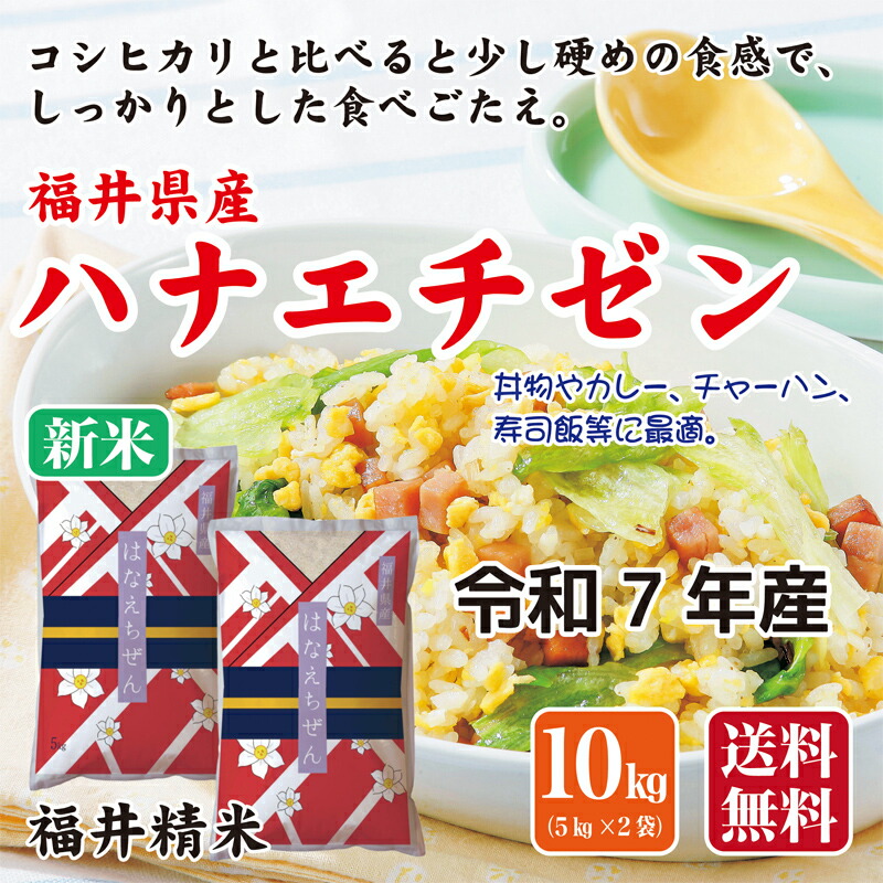福井県産 新米 5kg×4袋　令和6年 楽天市場】新米 お米 米 5kg 【令和7年産】 福井県産 華越前 福井県米