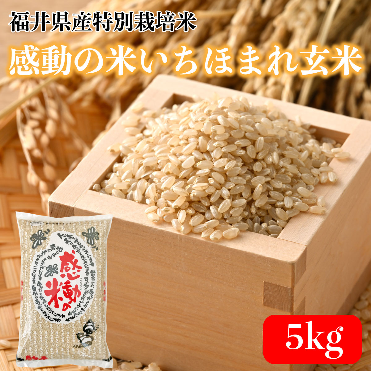 令和6年産 福井県産 感動の米いちほまれ玄米 5kg 残留農薬検査 色彩選別 特別栽培米