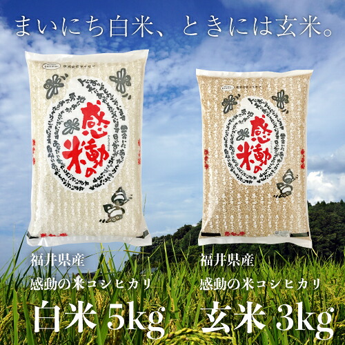 まいにち白米、ときには玄米。 【令和7年産】 福井県産コシヒカリ玄米3kg 福井県産コシヒカリ白米5kg のセット商品 特別栽培米 残留農薬検査 色彩選別｜玄米のマイセン 店