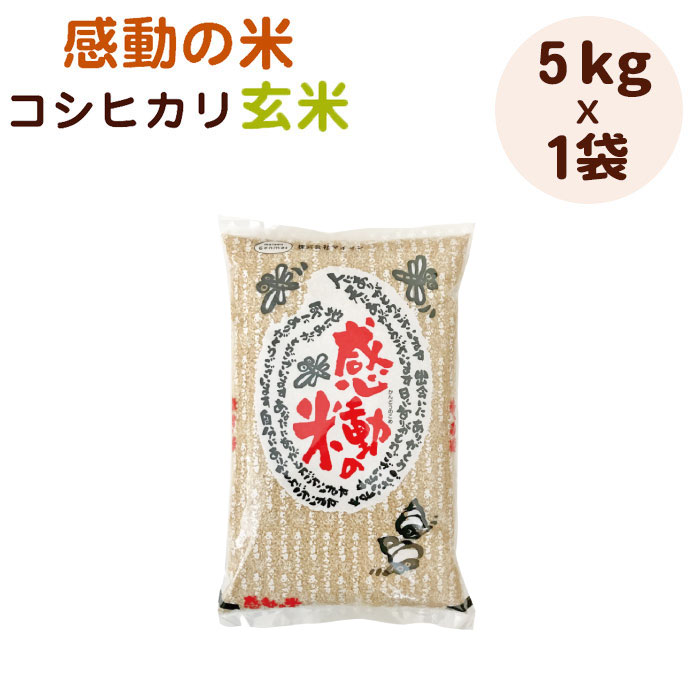 令和6年産新米 特別栽培米 福井県産 感動の米コシヒカリ玄米 5kg 玄米のマイセン 残留農薬検査 色彩選別