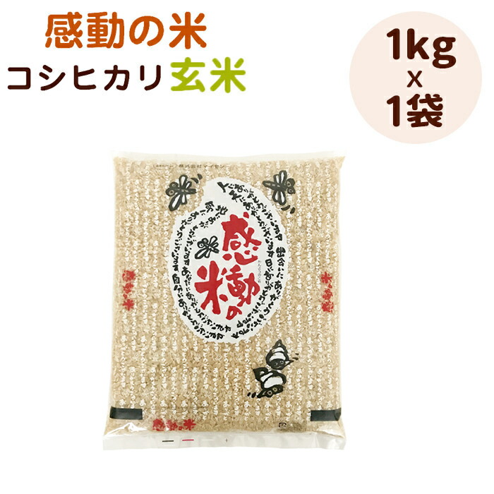 福井県産コシヒカリ米（玄米）令和6年特別栽培米 玄米 コシヒカリ 20kg(5kg×4) 福井県産 令和6年産｜玄米 |｜最短