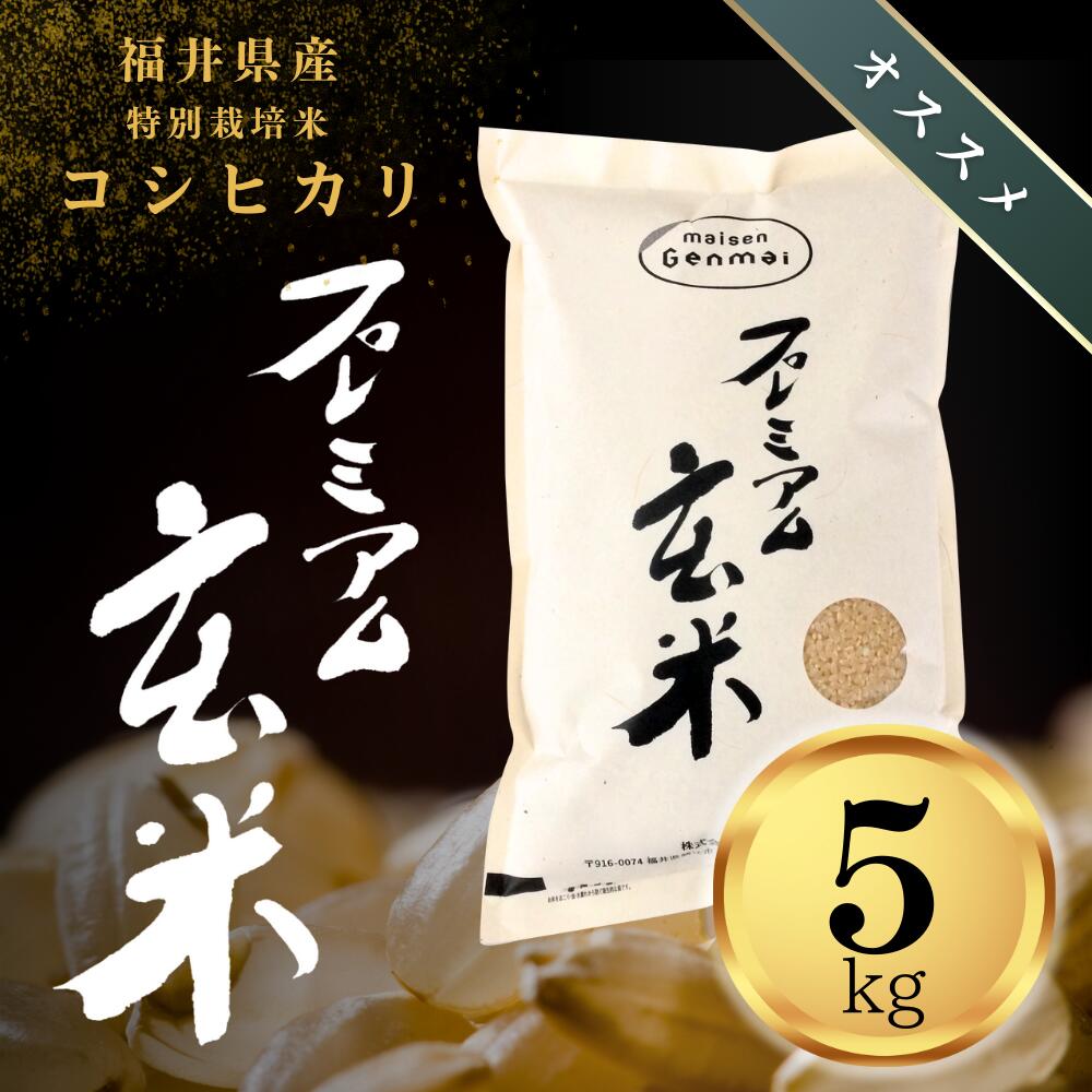 特別栽培米  プレミアム玄米5kg 福井県産コシヒカリ