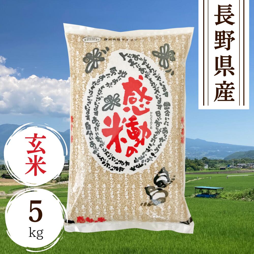 長野県産 感動の米コシヒカリ玄米 5kg 残留農薬検査 色彩選別 特別栽培米