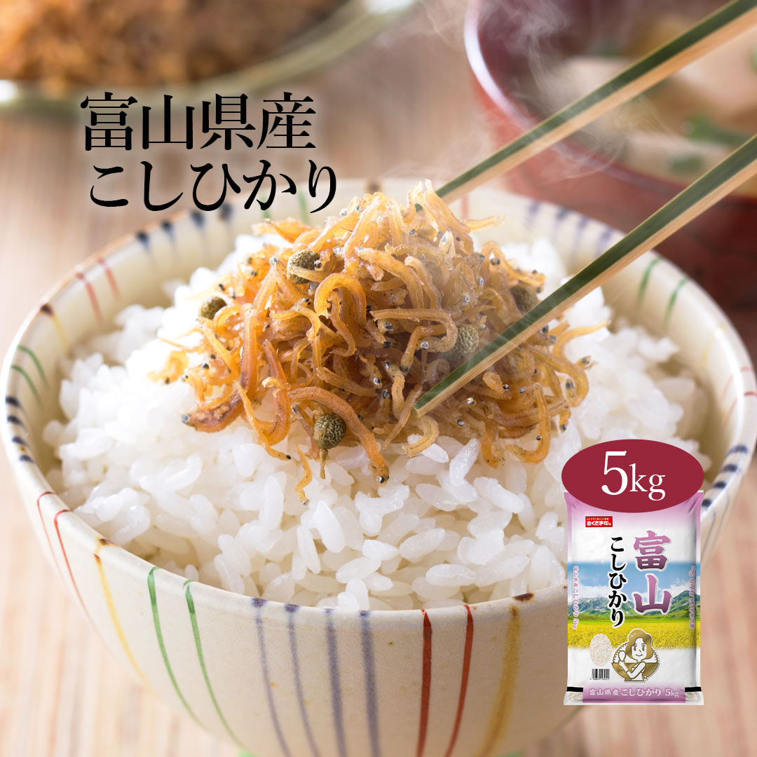 【LINE新規登録で150円OFFクーポン】米  5kg コシヒカリ 富山県産 令和6年産 送料無料 お米 白米 精米 こしひかり 5キロ 単一原料米 安くて美味しい 生活 両親 出産 結婚 内祝い 引っ越し 挨拶 粗品 贈り物 ギフト 香典返し お返し おくさま印 米