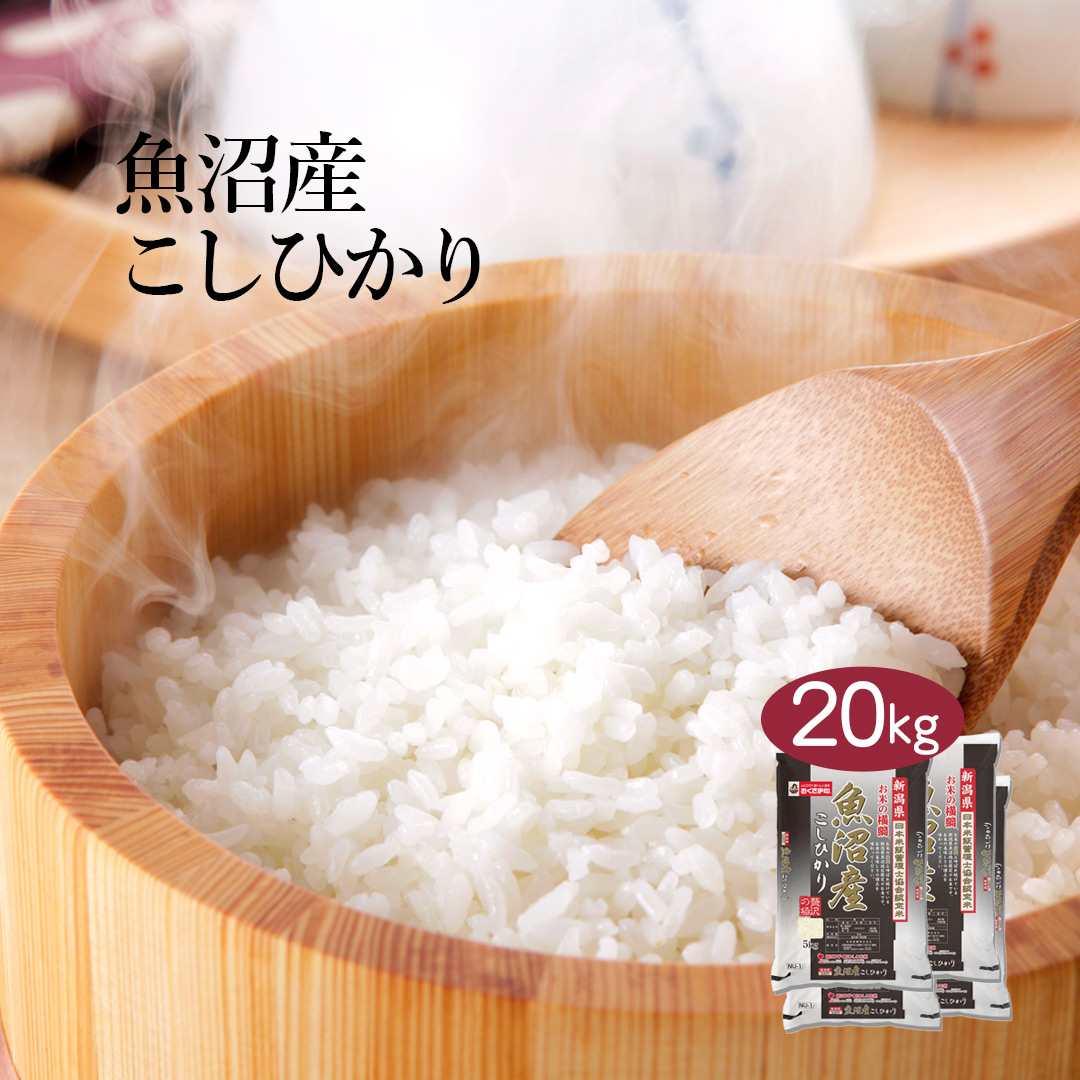 楽天市場】【エントリーでポイント最大5倍！】米 5kg コシヒカリ