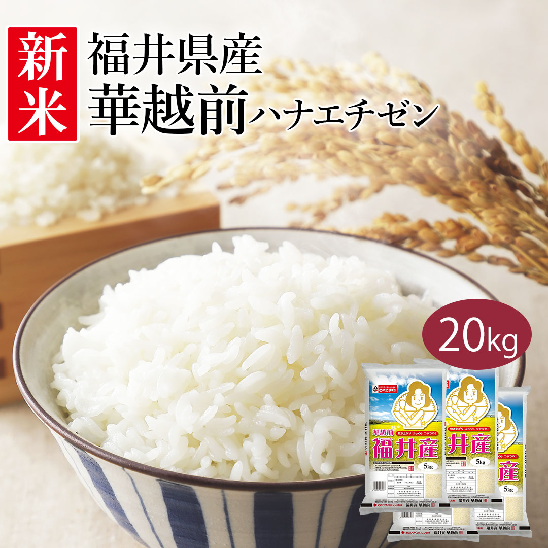 【楽天市場】米 5kg 華越前 ハナエチゼン 福井県産 令和5年産 新米