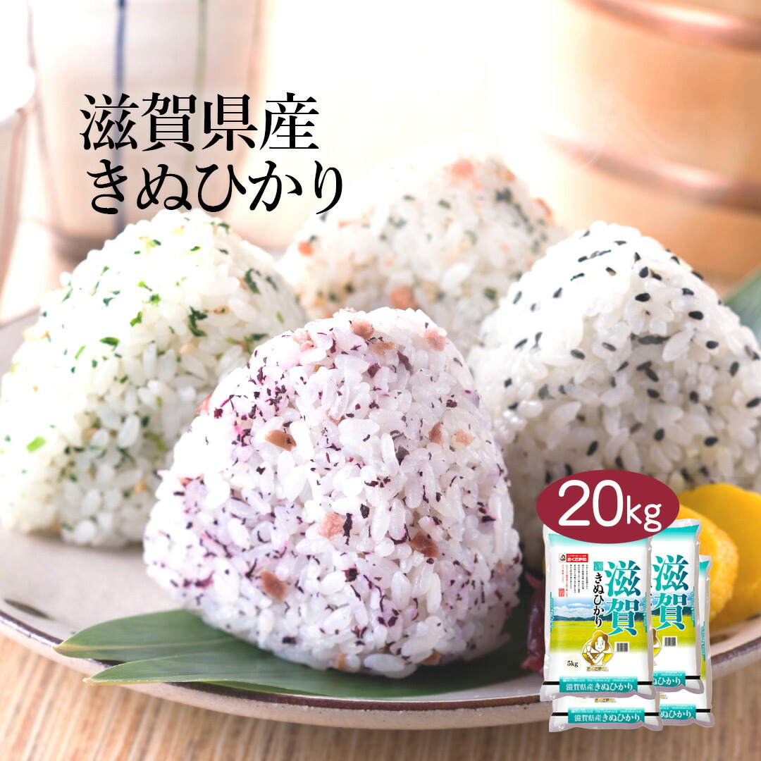 魅了 令和２年産 滋賀県産 きぬひかり kg 5kg 4袋 白米 お米 単一原料米 おくさま印 送料込み 沖縄 離島除く 代引き手数料無料 Azurpiscines68 Fr