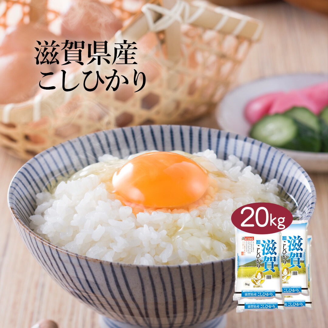 貨物輸送無料 命団結 年制定 特a 滋賀県産 こしひかり kg 5kg 4カバン 白稲 お米 プレーン元種米 おくさま徴証 送料込み 沖縄 離島撤収 Vnmsport Com