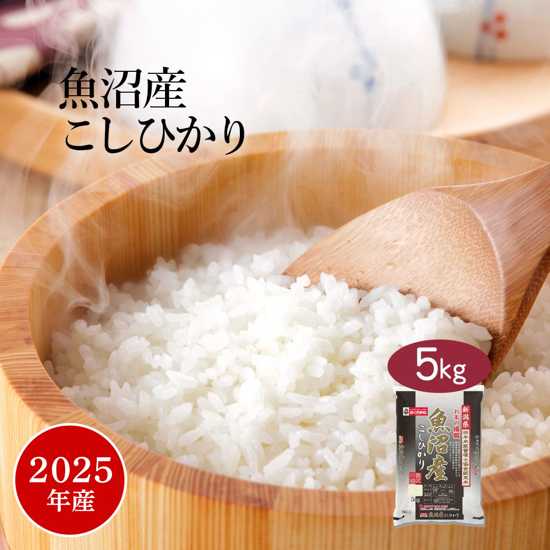 魚沼産コシヒカリ　令和6年産　白米　10キロ　米農家直送⑤ お米5kg×2 合計10kg 令和5年魚沼産コシヒカリ白米