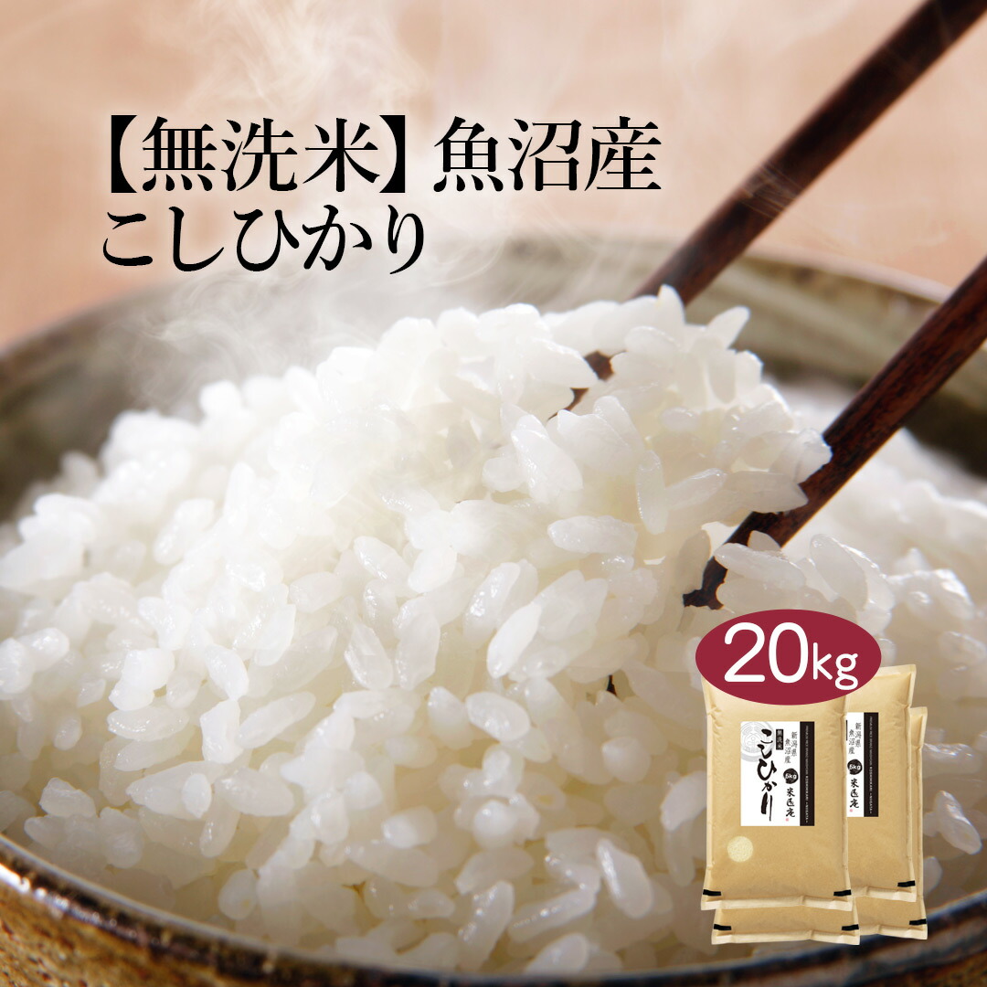 即発送可能 送料無料 令和２年産 特a 無洗米 新潟県 魚沼産 こしひかり kg 5kg 4袋 無洗米 お米 単一原料米 おくさま印 送料込み 沖縄 離島除く 驚きの値段 Www Lexusoman Com