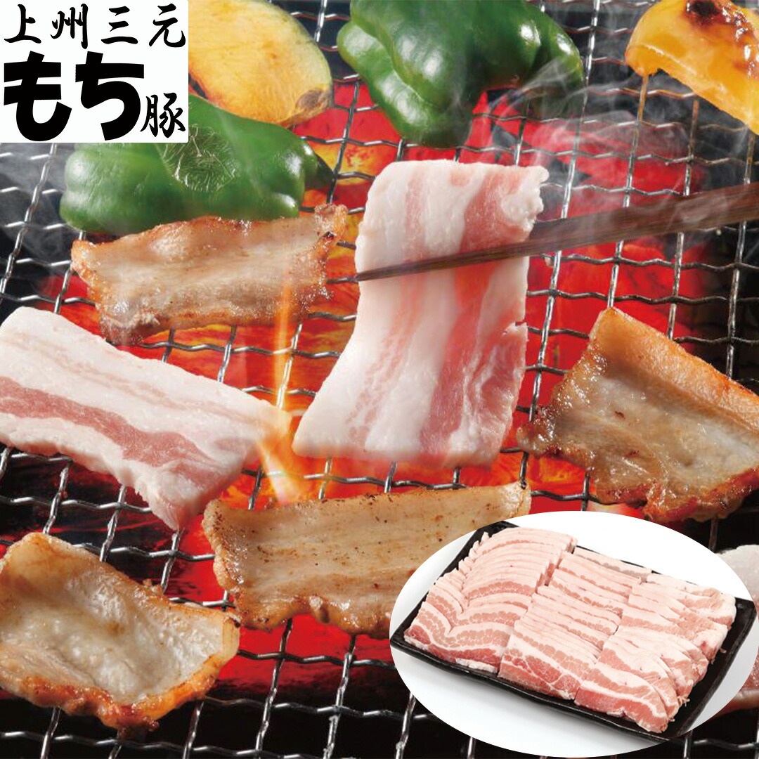 【おくさま印開催中！】群馬 上州三元 もち豚 焼肉用 バラ 600g 豚肉 冷凍 美味しい 食べ物 ギフト 贈答品 お中元 内祝い 送料無料 【産直・メーカー直送品】