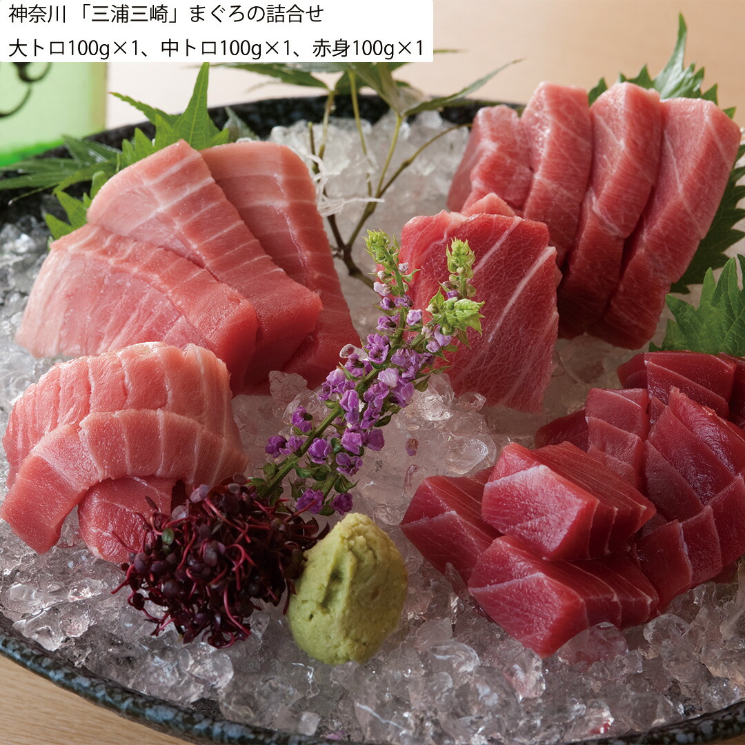 【楽天市場】【おくさま印セール開催中！】神奈川 「三浦三崎」まぐろの詰め合わせ 大トロ100g×1 中トロ100g×1 赤身100g×1 魚 ...