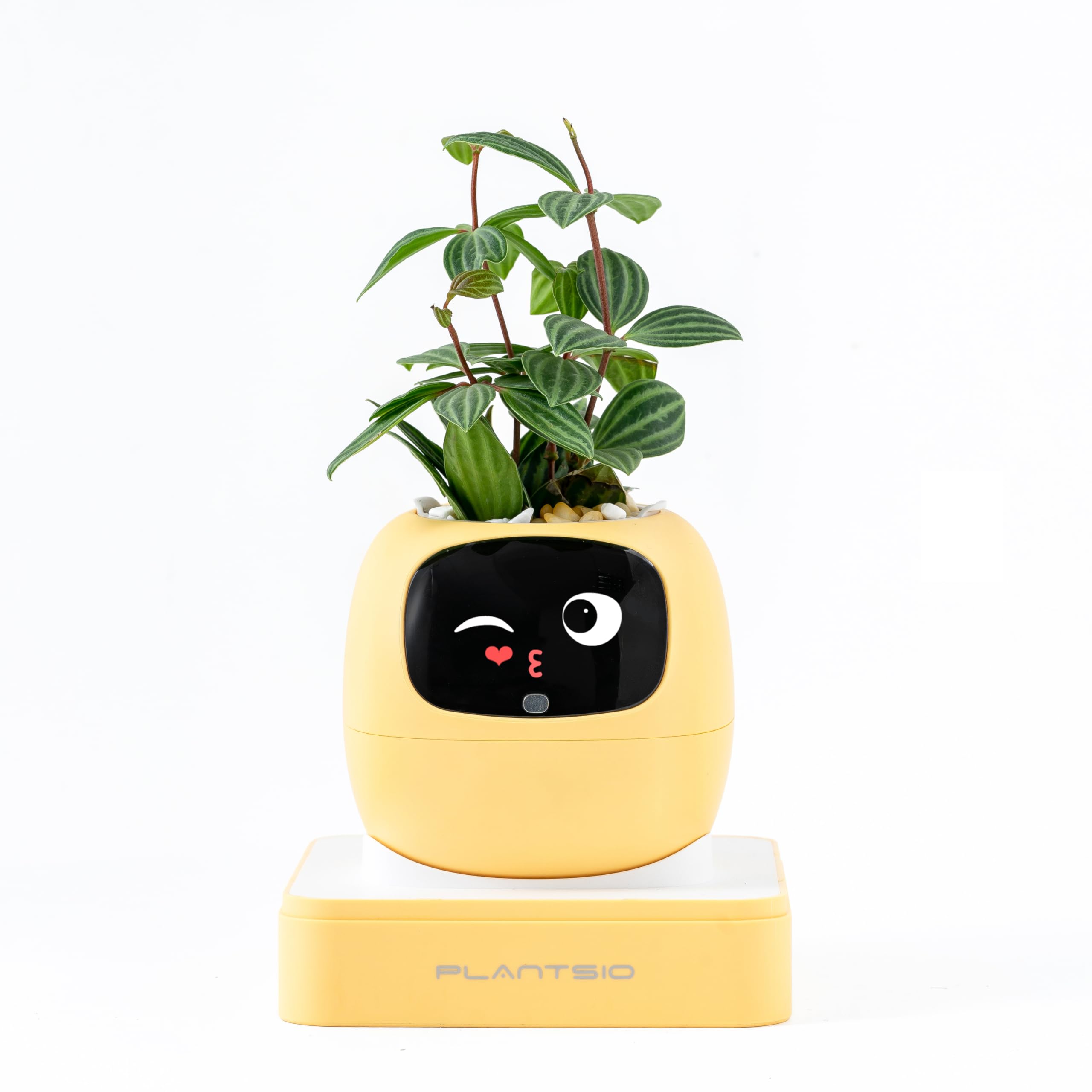OUSEITECH×Plantsio スマート植木鉢2代 Ivy スマートペットプランター AIプランター インテリジェント植木鉢 多機能スマートデバイス 7つのセンサー AIチップにより ぽってり オフィス/書斎/バルコニー/リビング/寝室 愛らしい 明
