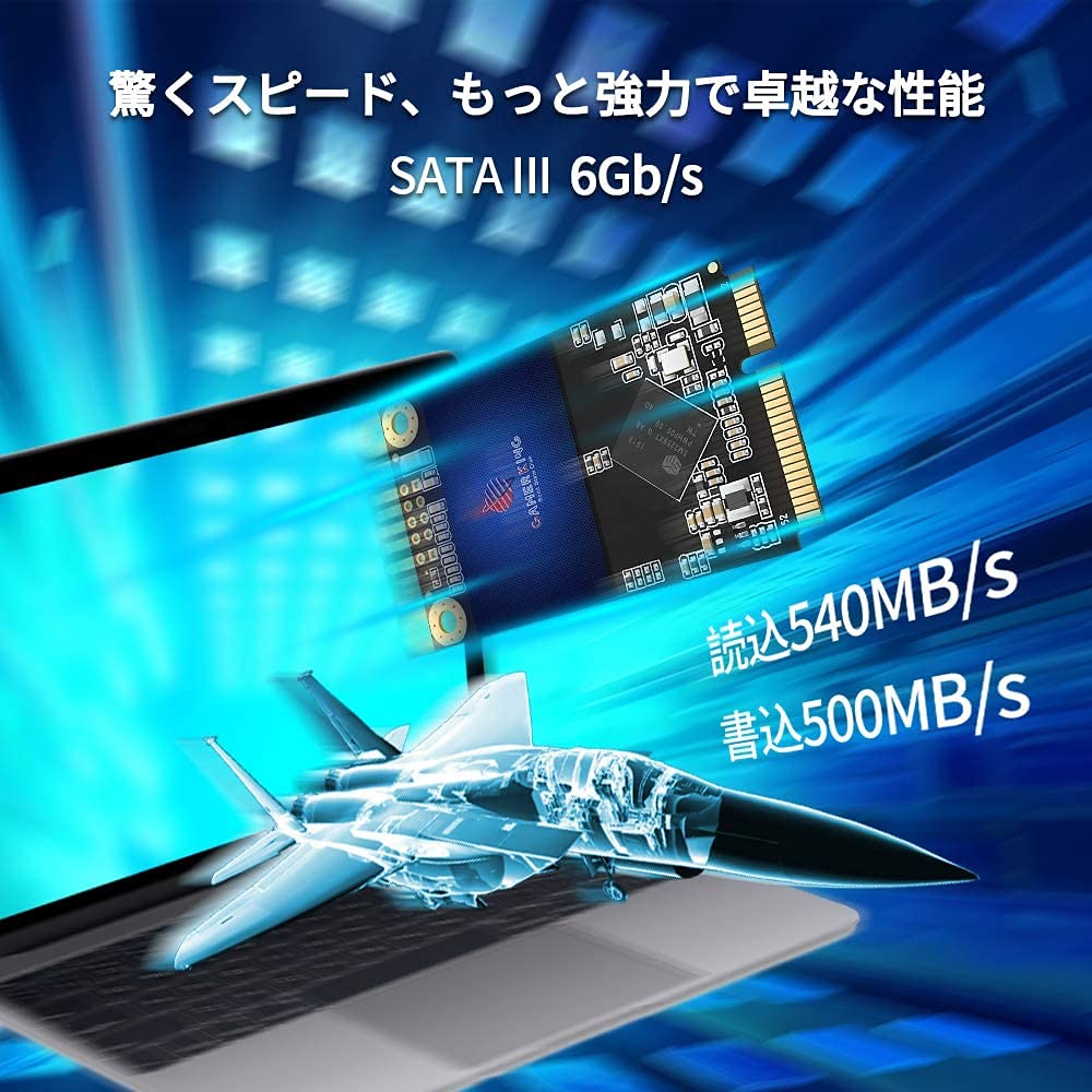 GamerKing SSD Msata 1TB SATA III 6Gb/s NGFF 内蔵型 Solid State Drive ハードドライブ 高性能ハードドライブノート/パソコン/デスクトップ適用 ソリッドステートドライブ 3年保証SSD (1TB,