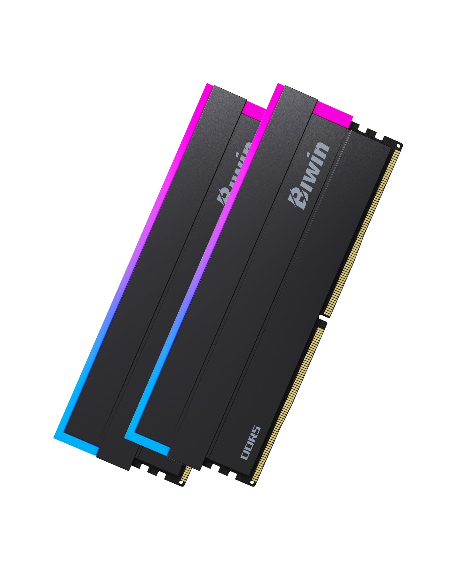 Biwin DW100 DDR5 6400MT/s (PC5-51200) デスクトップPC用メモリ 32GB(16GB×2枚) CL32 RGBライティング Intel XPM 3.0/AMD EXPO両対応 メモリキット ブラック|Maison Outre