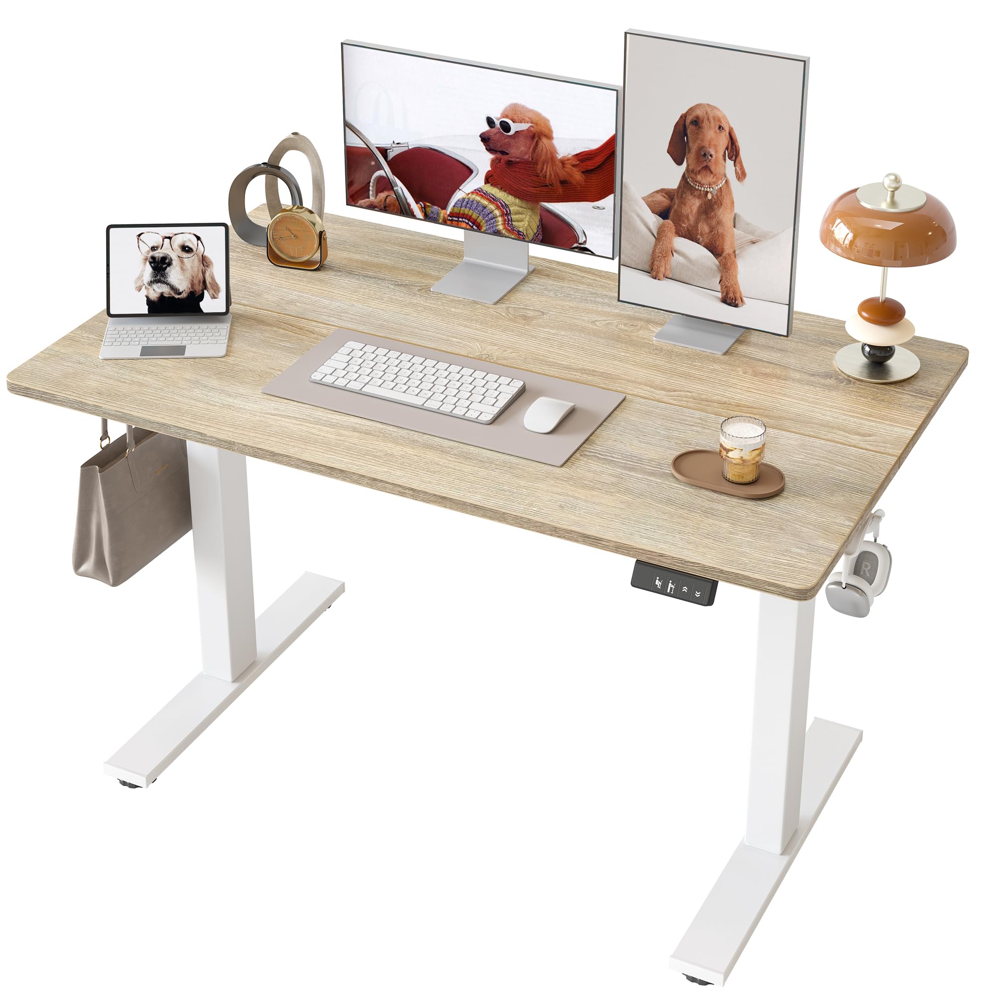 TIQLAB 電動昇降デスク スタンディングデスク メープル 幅120×奥行60cm 昇降範囲72-116cm 耐荷重80kg ヘッドホンフック2个付き 高さメモリー 静音 パソコンデスク 木目色|Maison Outre