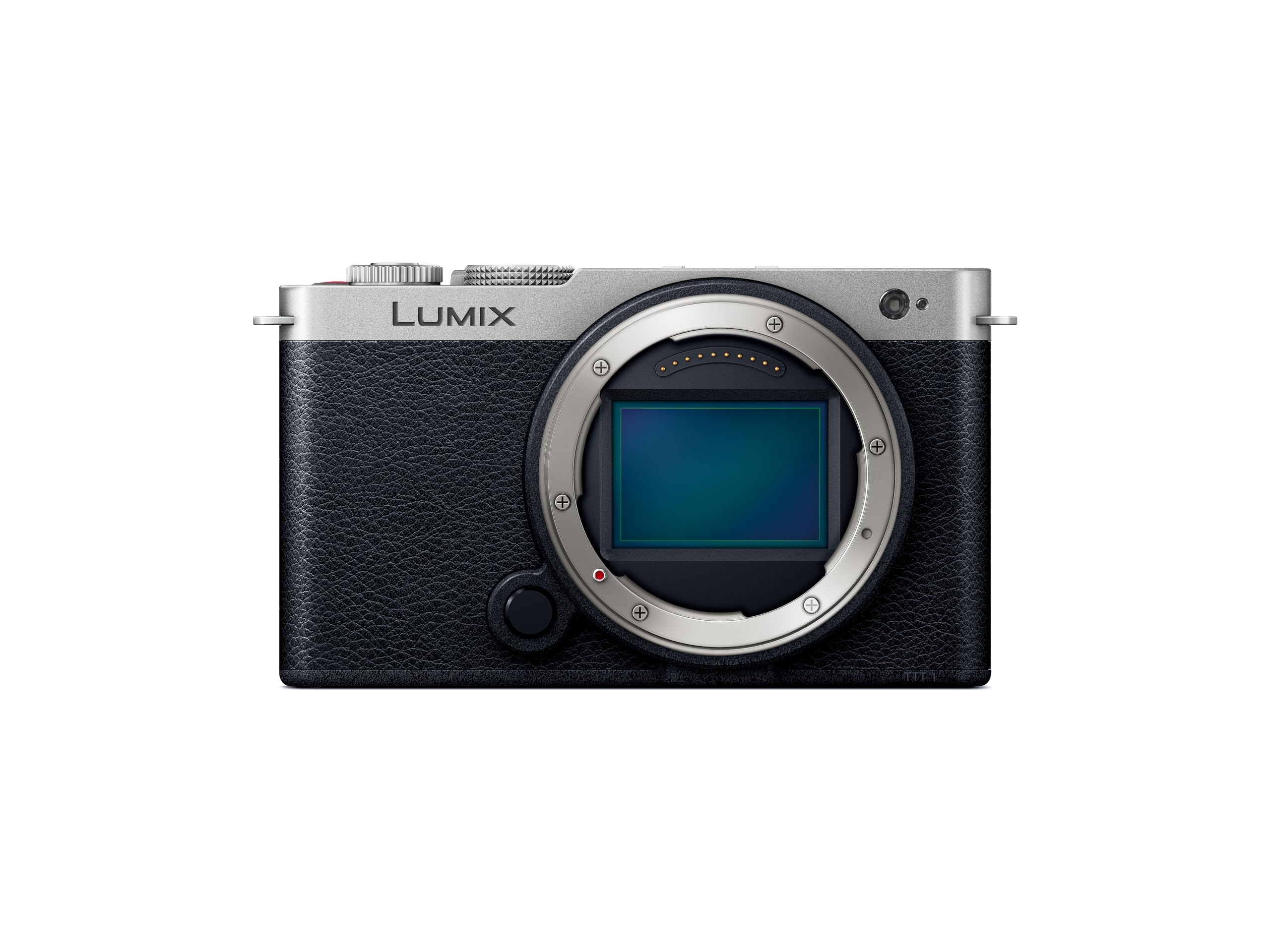 パナソニック(Panasonic) フルサイズ ミラーレス一眼カメラ ルミックス S9-S ボディ ダークシルバー DC-S9-S｜Maison Outre