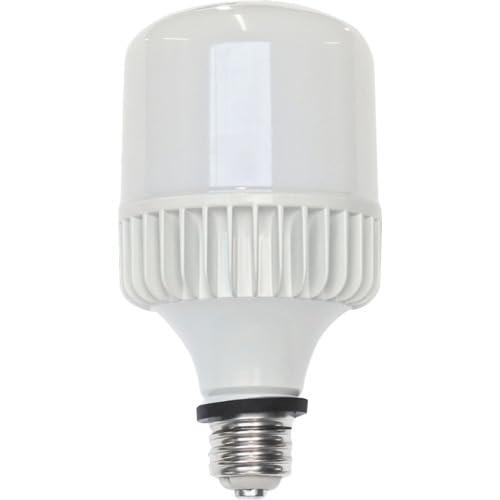 セフティー SAFETY 仮設照明 E39LED電球 バラストレス水銀灯500W相当 屋外対応 SH40-TL-TR